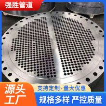 碳钢管板碳钢盲板多孔板异型法兰盘复合大直径非标