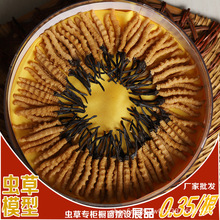 �����x��ģ�ͼٶ��x�Ĳݘ�Ʒ����չ�dչ�[չʾ�����Ĕz�߷���