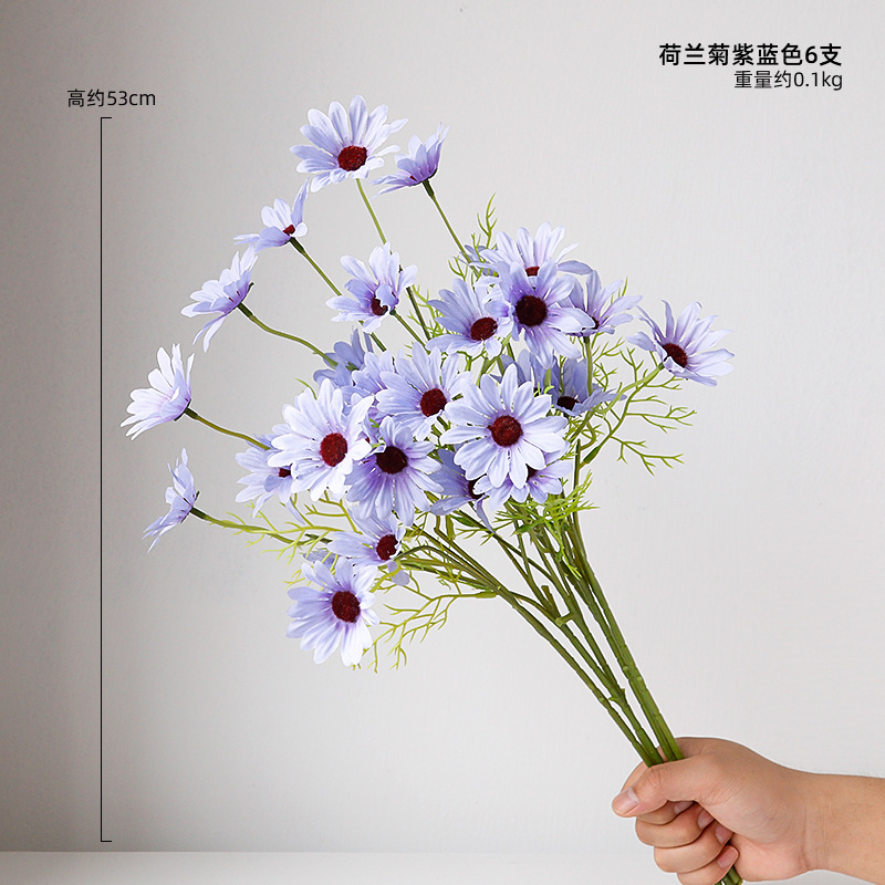작은 데이지 보라색 6 가지