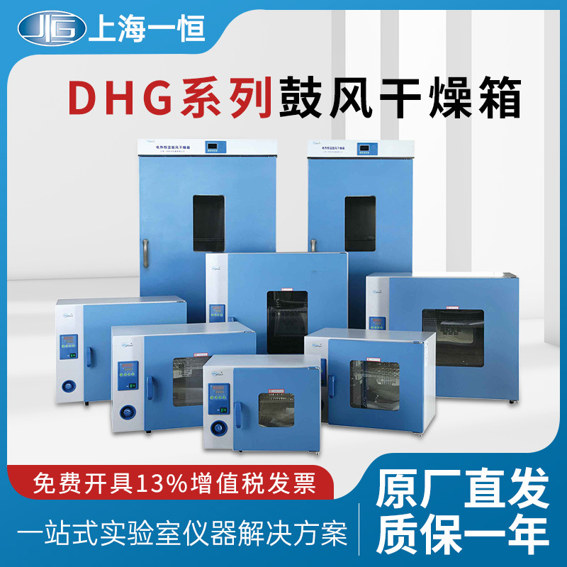 Shanghai Yiheng Electronic Electrothermal Constant Temperature Blast Drying Oven Laboratory DHG9030A Industrial Oven Oven