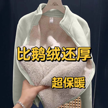 立领摇粒绒加绒外套女秋冬上衣2025新款冲锋衣内胆北极绒卫衣开衫