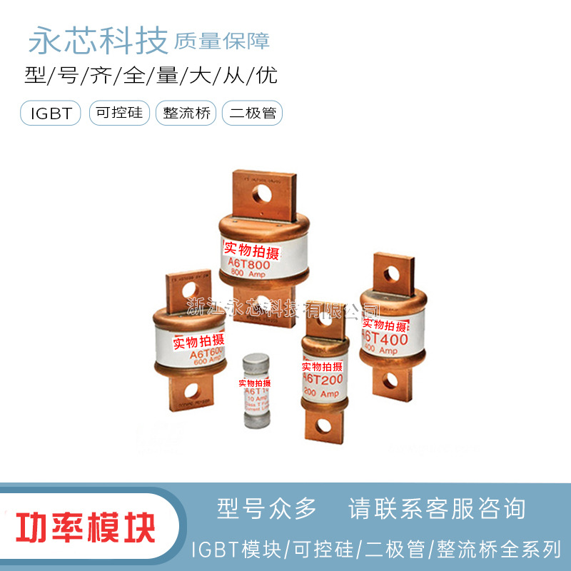 BS17US25V30P  BS17US25V35P原装现货快速熔断器保险丝全新供应