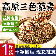 ������ɫ޼����1�����ڰ�޼����ԭ�ּZ�Ǽ�ʳ�ຣ��ȼZ������ʳ