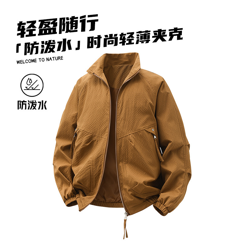 �p�������e�A����2025�¿�＾�����������I�L���ЌW������ˮ��