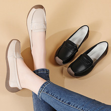 ��ƤŮЬ2026�¿������һ�_�����������mܛ��ƽ��Ь���e����Ь