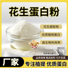 花生蛋白粉98% 花生提取物食品级原料固体饮料水溶蛋白粉厂家直发