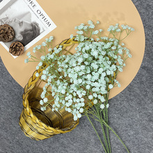 滨MǻcҾb[ٻGֲ廨ϻY