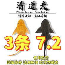 �~��ֱ�N�����Ů�����y�坍�����ͻ��w�����Ꭷ�~���嵭ˮ����~