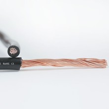 �S��ֱ��1mm&sup2; ����CCC�J�C�~о������ϩ�^���o�o��ܛ늾�