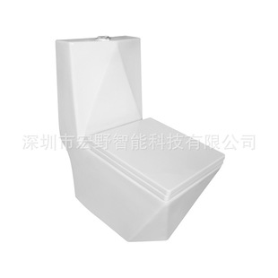 �B�w�ʯ�RͰ���ŵ������������Q�Ж|�S�����l�l���g����WCtoilet