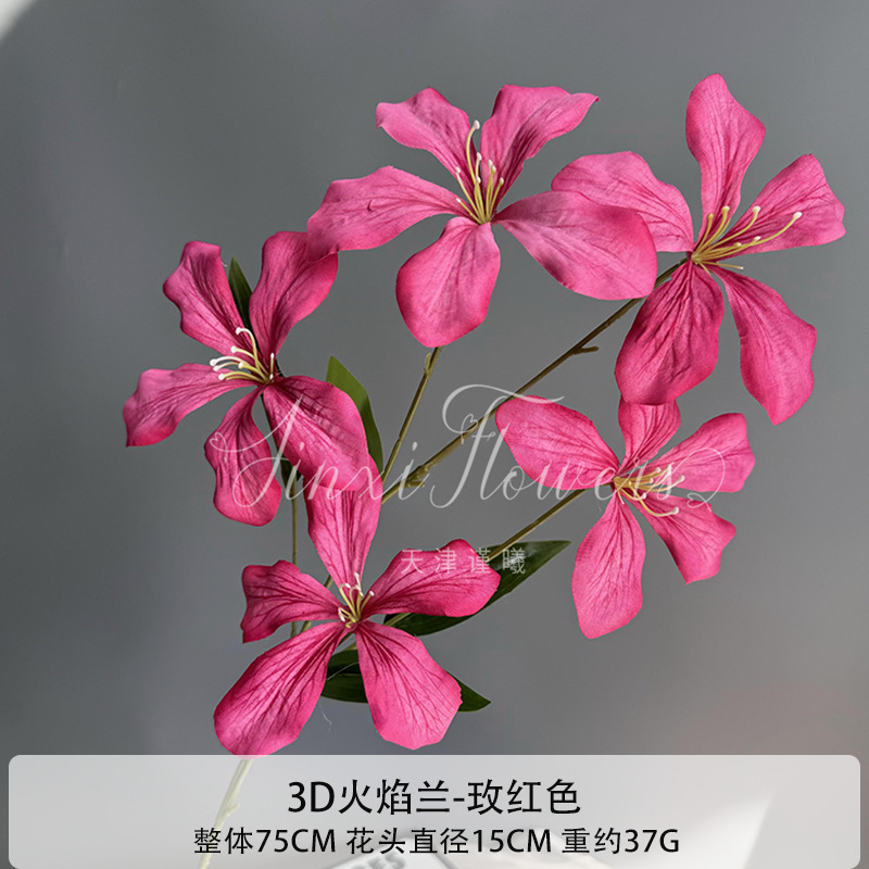 3D 불꽃 난초
