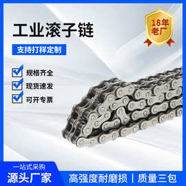 现货批发链条合金钢10A/5分精密工业滚子链条/传动链条厂家直供
