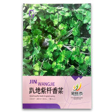 ��Ʒ�N�ϸ���˰��Uſ����˷N��С�~������ܾݴ�N���ļ��߲˷N��