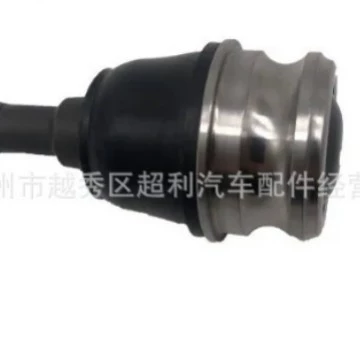 20202-Aj04A Forester – Other walking systems