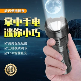 手电筒;头灯头戴电筒;野营/露营灯