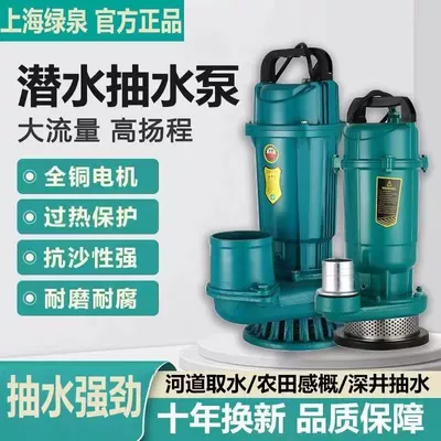 Shanghai People's Submersible Pump 220v Water pump