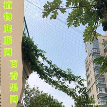 ֲ�����پW�z�Ͽ�ϵ������ѹ��V���������W��ܾW��������پW