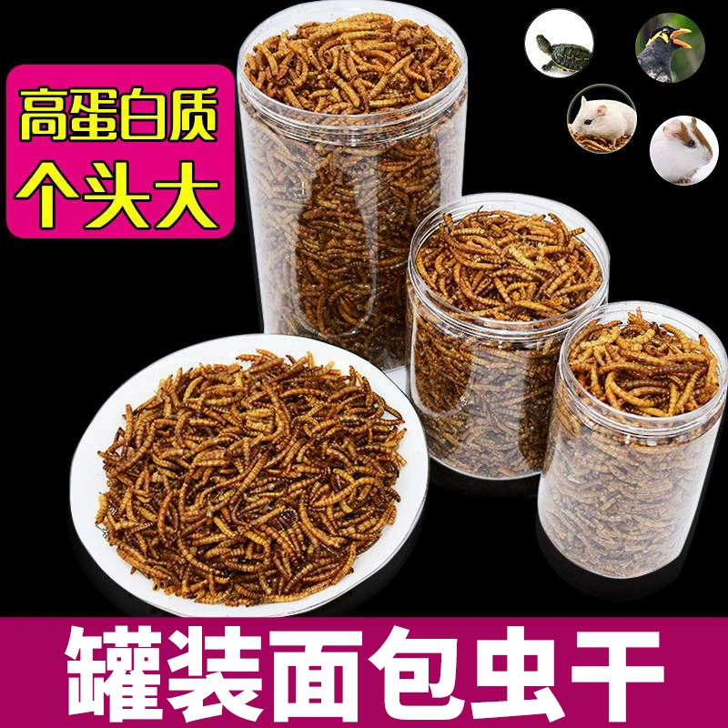 Хлеб Червь Сухой Хомяк Пищевые Принадлежности Корм для черепах Корм для домашних животных Маленький пакет для закусок Полный Tellopterus Molitor