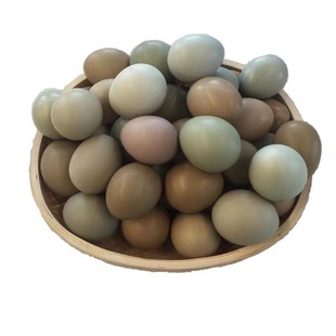 �����߲�ɽ�u���r���s�Zɢ�Bɽ�u���u����Ȼ���u���S��ֱ�N���u��