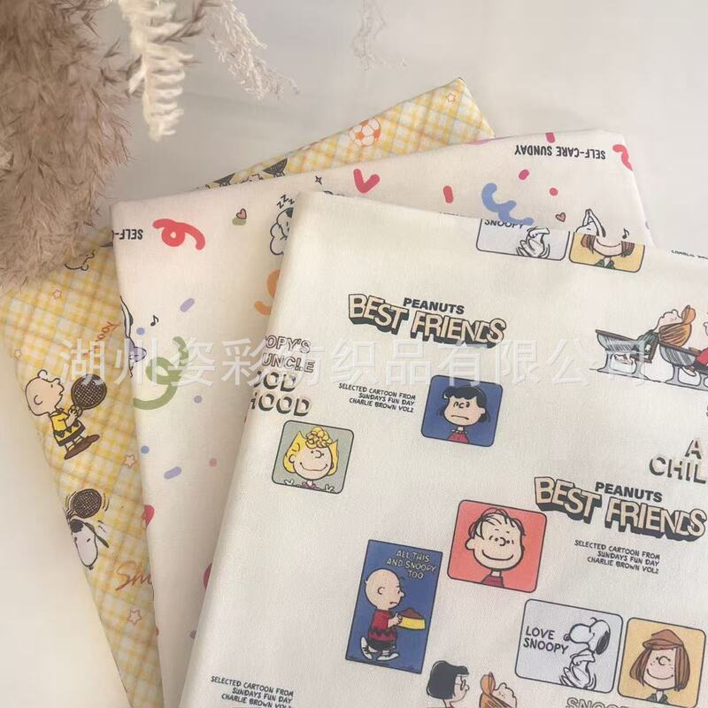 Cotton Canvas Digital Printing Sports Snoopy Pet Nest Carpet Clothing Handmade