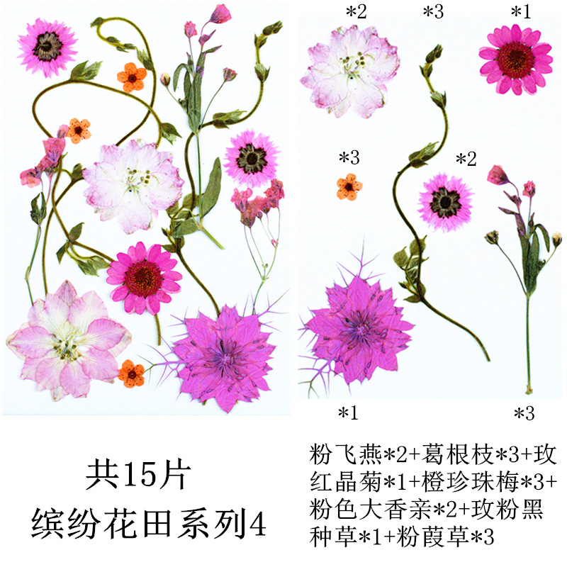 다채로운 꽃 밭 조합 4