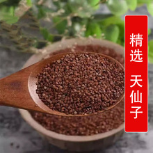 【正宗云南南天仙子批发假一赔十】水衰衣广天仙云南野生中药材铺