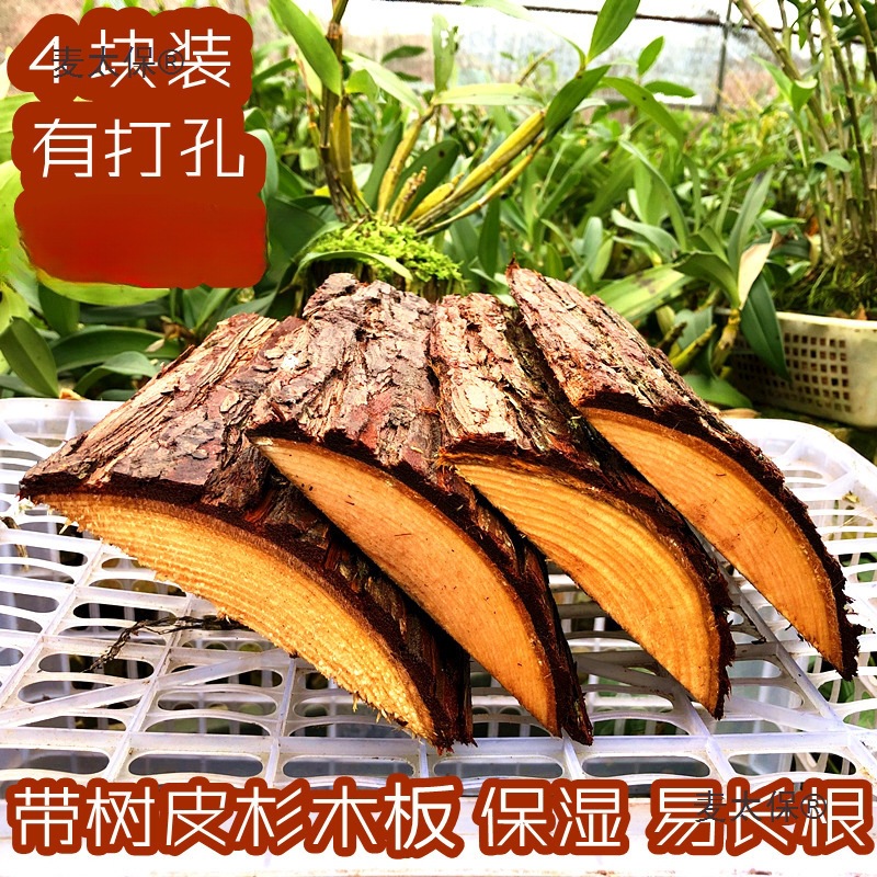 4块装 带树皮杉木板 种植石斛蝴蝶兰木板 吸水保湿很好长根麦太保