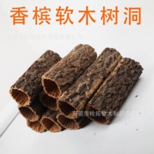 爬宠造景香槟树洞躲避屋守宫砂躲避巨人鬃狮睫角豹躲避造景屋树桶