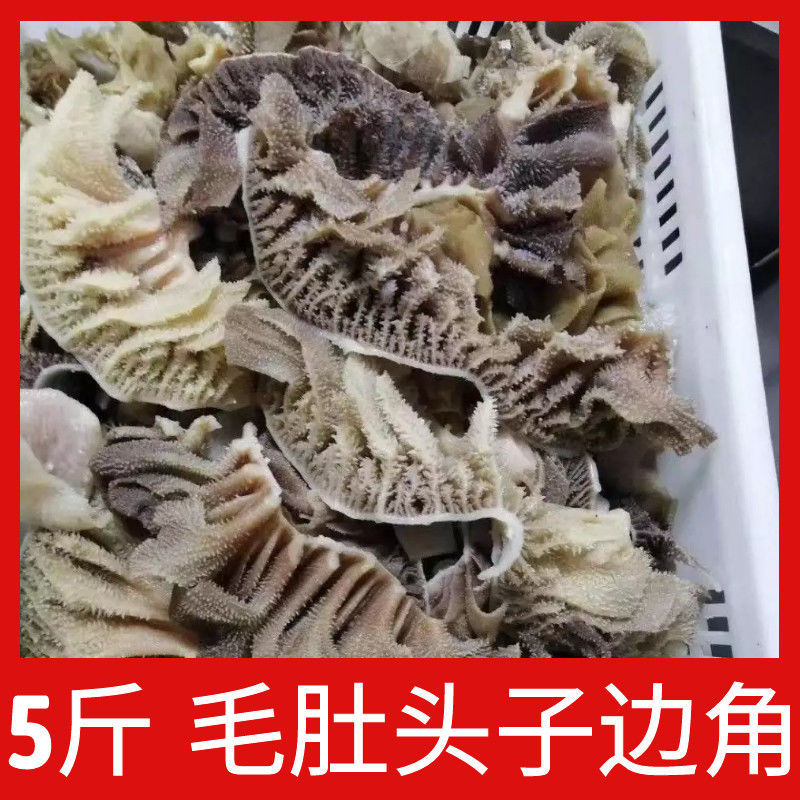 边角料毛肚5斤装新鲜牛百叶肚头黑白底板丝火锅食材牛肚串串冒菜