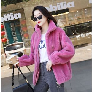 ����Ƥëһ�w����q���pƤ���w���q��ë�������ë����Ů�̿�