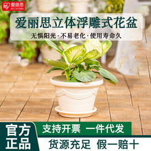 ����˼ESPԲ�λ�����֬�������ϻ�������ھ��Ӻ���˿IRIS