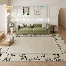 法式地毯客廳免洗可擦2025新款輕奢高級感家用卧室地墊沙發茶幾毯
