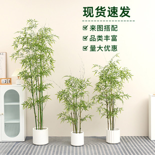 �������ӾG�����Լ�����ͥԺ�����쾰�bzӰ����  �����������