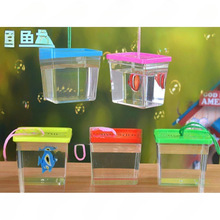 С���ϺЎ��w�~�׶��~�������з�ķ�С��͸�������ϸ�С���~����