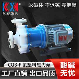 CQB40-25-120F磁力泵 盐酸转料泵 耐酸碱氟塑料泵厂家 安徽凯旋