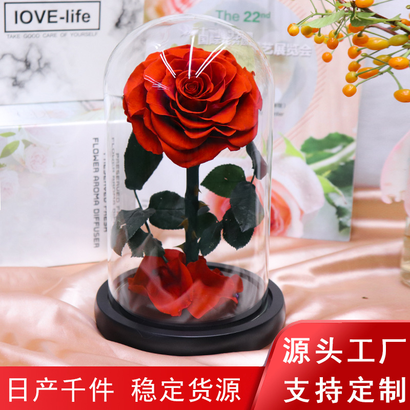 Yunnan precio al por mayor regalo creativo transfronterizo Día de San Valentín Navidad Pequeño Príncipe flor eterna Rosa cubierta de vidrio
