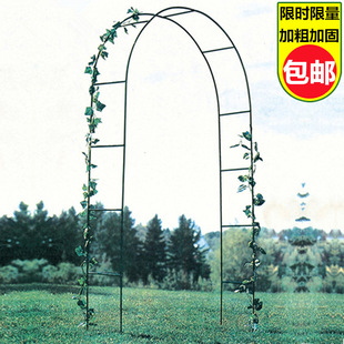 Simple Wrought Iron Arch Flower Stand for Climbing Roses, Vines, Grapes, and Melons