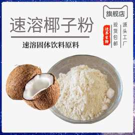 椰子粉 椰浆粉椰汁粉椰汁提取物速溶固体饮料 SC厂家 现货批发