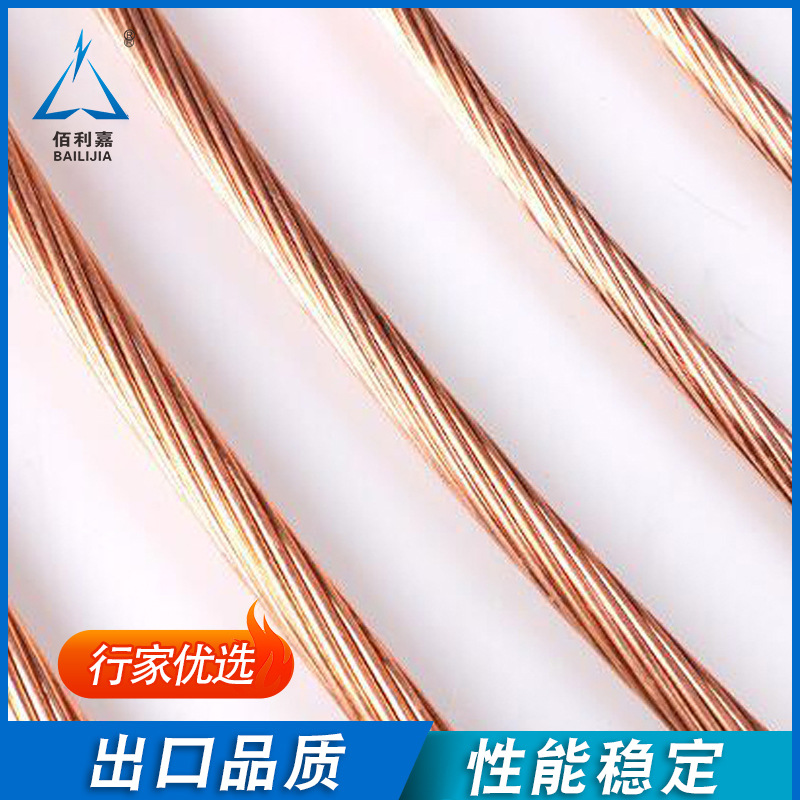 佰利嘉铜包钢绞线防雷接地线批发避雷引下线镀铜编织绞线多股厂家
