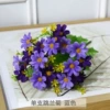 Blue orchid chrysanthemum 7 forks