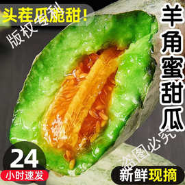 山东羊角蜜甜瓜新鲜当季水果香瓜蜜瓜现摘现发时令羊角脆5斤包邮