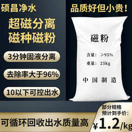 海韵硕昌牌325目磁粉 超磁分离磁种 200目污水处理磁种选矿磁铁粉