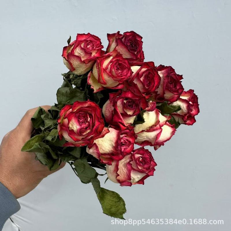 多頭バラ泡薔薇乾花薔薇花束雲南乾花滴糊花フォトフレーム花材補助材飾り|undefined