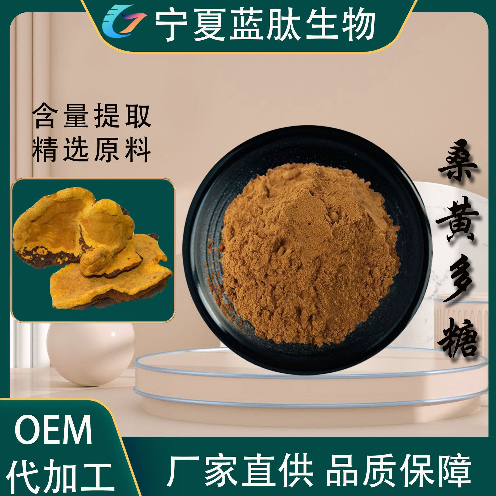 桑黄多糖20% 厂家直供桑黄提取食品级保健品原料压片糖果桑黄多糖