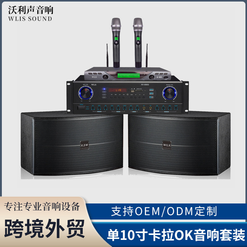 Exclusive for cross-border foreign trade 10inch Professional karaoke speaker set for KTV, conference room, bar, karaoke amplifier and microphone set Exclusive for cross-border foreign trade 10inch Professional karaoke speaker set for KTV, conference room, bar, karaoke amplifier and microphone set