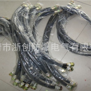 BNG-15*700防爆挠性连接管防爆控制箱防爆检修箱防爆仪表箱防爆灯