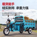 先锋新款电动三轮车拉货载重王家用农用三轮车电瓶车货运厂家直销