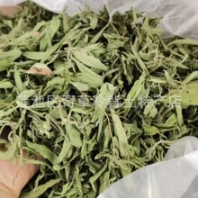 ���~��,���,���l��ș�����~��,�������~��