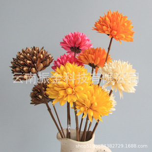 �S�����l�ֹ������������m��ǧ�����m��ˮ�_��ܛ�bˇ�g�廨��ܛ�b