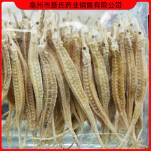 ��ҩ������ ���� �ɻ� ɢװ������ �����ȫ �����Ż�